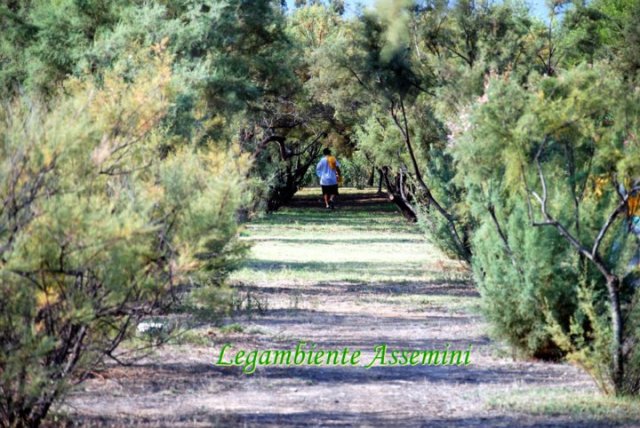 299775_10150290137876664_218795866663_7412441_1510107942_n